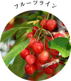 フルーツライン